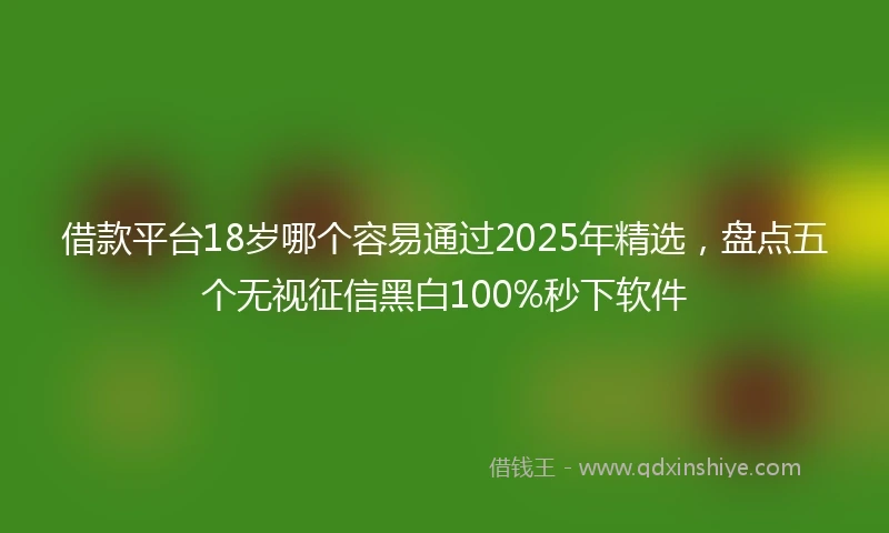 借款平台18岁哪个容易通过2025年精选，盘点五个无视征信黑白100%秒下软件