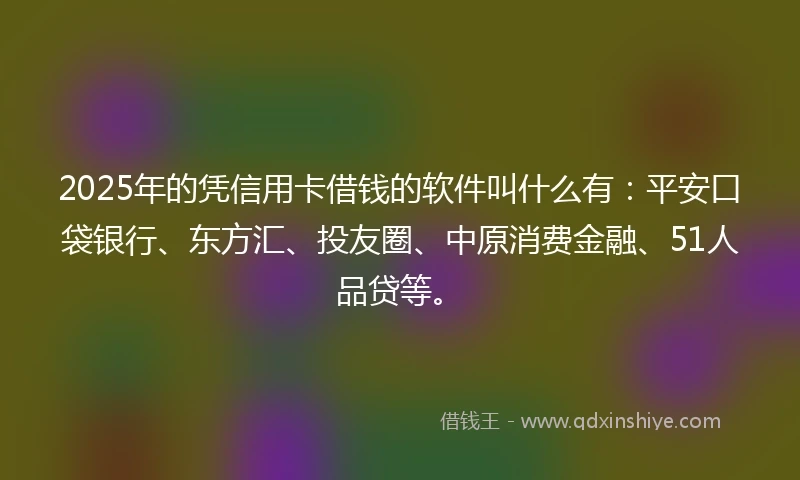 2025年的凭信用卡借钱的软件叫什么有：平安口袋银行、东方汇、投友圈、中原消费金融、51人品贷等。