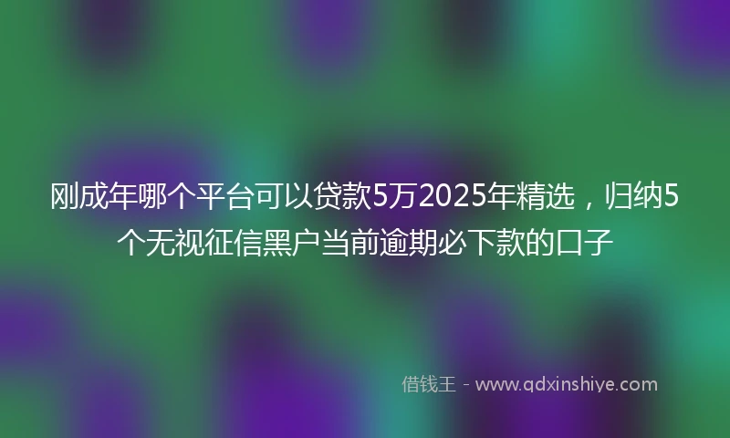 刚成年哪个平台可以贷款5万2025年精选，归纳5个无视征信黑户当前逾期必下款的口子