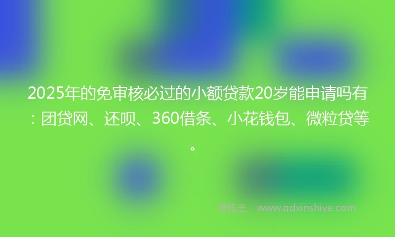 2025年的免审核必过的小额贷款20岁能申请吗有：团贷网、还呗、360借条、小花钱包、微粒贷等。