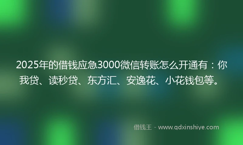 2025年的借钱应急3000微信转账怎么开通有：你我贷、读秒贷、东方汇、安逸花、小花钱包等。