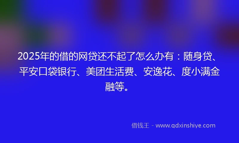 2025年的借的网贷还不起了怎么办有：随身贷、平安口袋银行、美团生活费、安逸花、度小满金融等。
