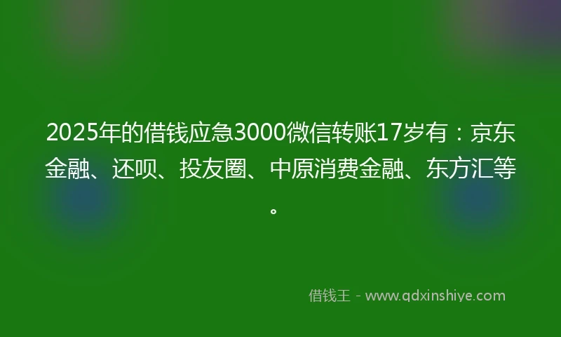 2025年的借钱应急3000微信转账17岁有：京东金融、还呗、投友圈、中原消费金融、东方汇等。