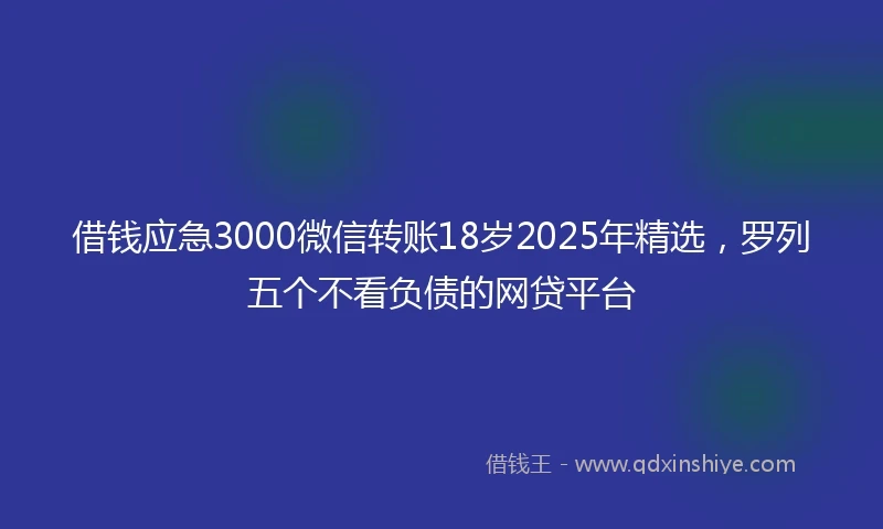 借钱应急3000微信转账18岁2025年精选，罗列五个不看负债的网贷平台