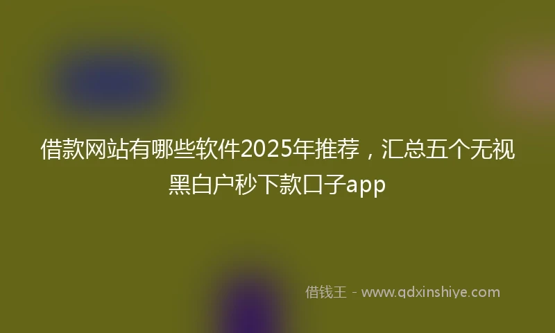 借款网站有哪些软件2025年推荐，汇总五个无视黑白户秒下款口子app