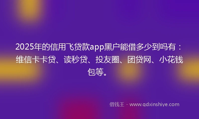 2025年的信用飞贷款app黑户能借多少到吗有：维信卡卡贷、读秒贷、投友圈、团贷网、小花钱包等。