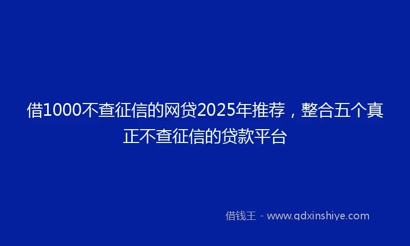 借1000不查征信的网贷2025年推荐，整合五个真正不查征信的贷款平台