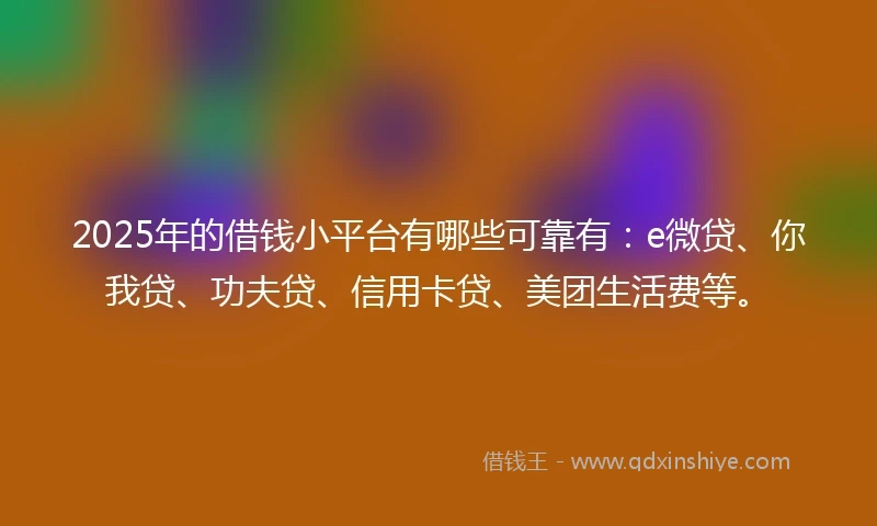 2025年的借钱小平台有哪些可靠有：e微贷、你我贷、功夫贷、信用卡贷、美团生活费等。