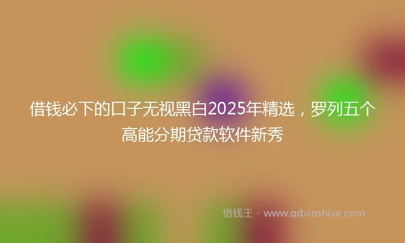 借钱必下的口子无视黑白2025年精选，罗列五个高能分期贷款软件新秀