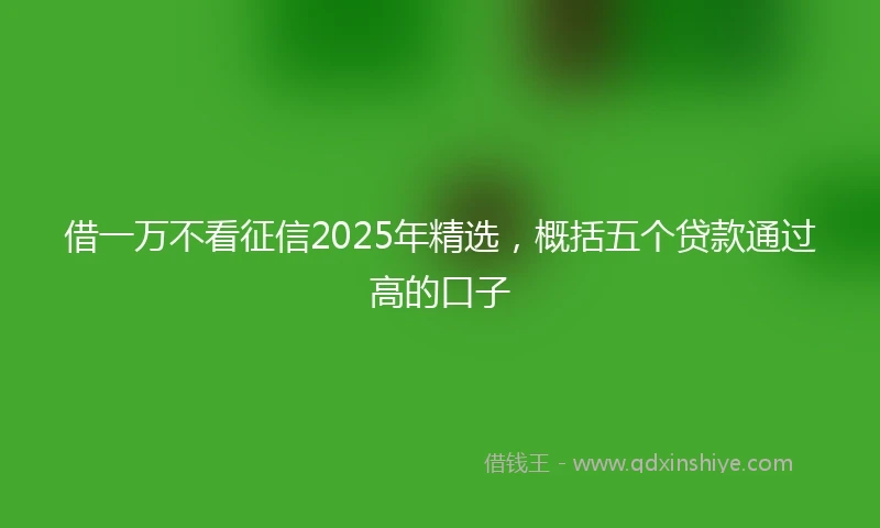 借一万不看征信2025年精选，概括五个贷款通过高的口子