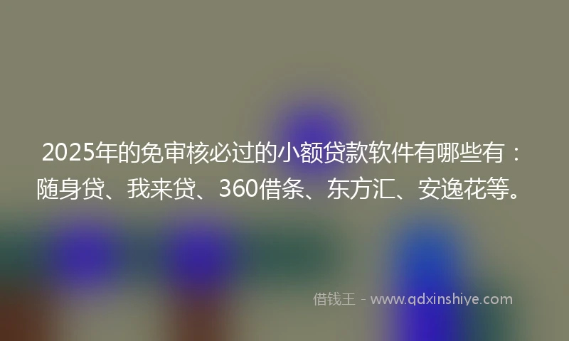 2025年的免审核必过的小额贷款软件有哪些有：随身贷、我来贷、360借条、东方汇、安逸花等。