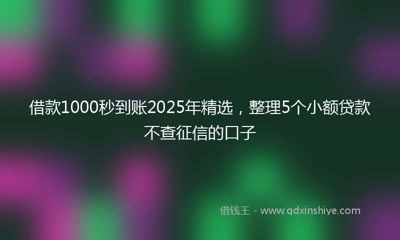 借款1000秒到账2025年精选，整理5个小额贷款不查征信的口子