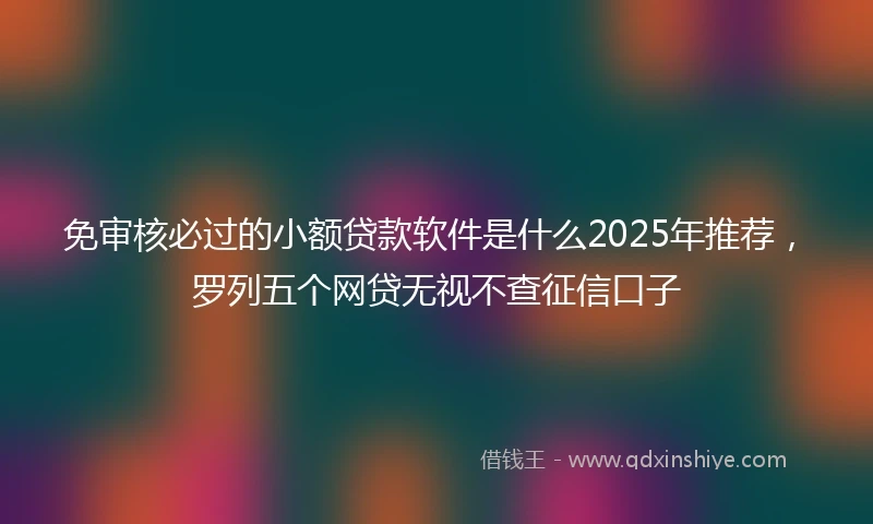 免审核必过的小额贷款软件是什么2025年推荐，罗列五个网贷无视不查征信口子