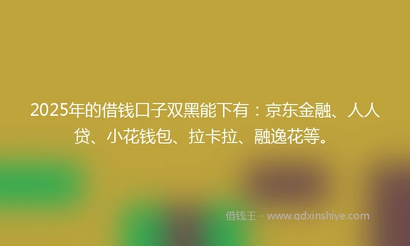 2025年的借钱口子双黑能下有：京东金融、人人贷、小花钱包、拉卡拉、融逸花等。