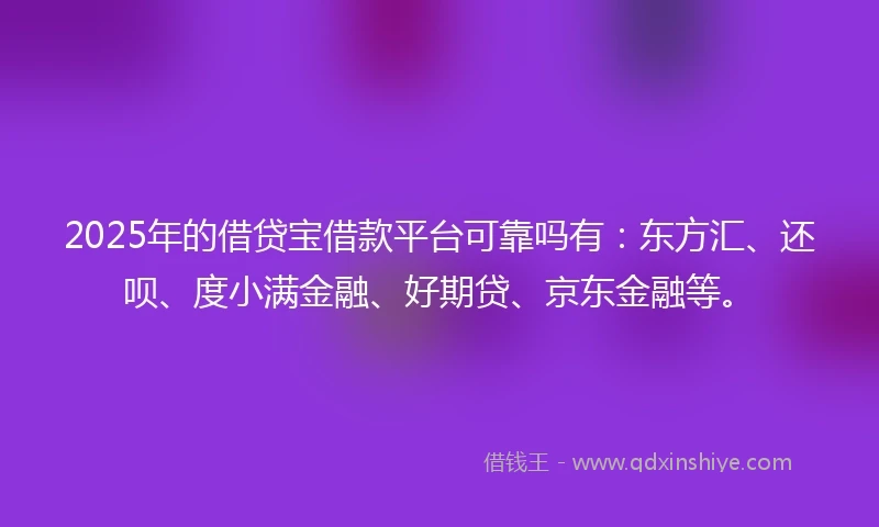2025年的借贷宝借款平台可靠吗有：东方汇、还呗、度小满金融、好期贷、京东金融等。