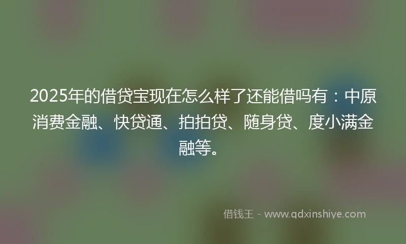 2025年的借贷宝现在怎么样了还能借吗有：中原消费金融、快贷通、拍拍贷、随身贷、度小满金融等。