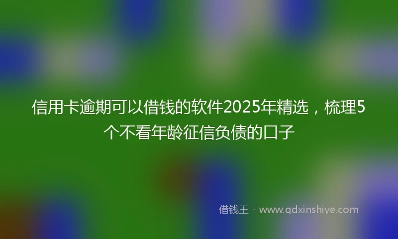 信用卡逾期可以借钱的软件2025年精选，梳理5个不看年龄征信负债的口子