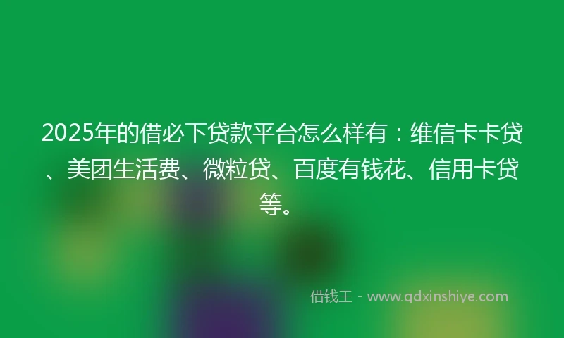 2025年的借必下贷款平台怎么样有：维信卡卡贷、美团生活费、微粒贷、百度有钱花、信用卡贷等。
