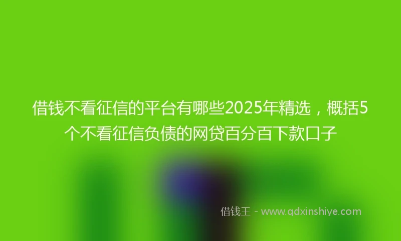 借钱不看征信的平台有哪些2025年精选，概括5个不看征信负债的网贷百分百下款口子