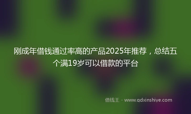 刚成年借钱通过率高的产品2025年推荐，总结五个满19岁可以借款的平台