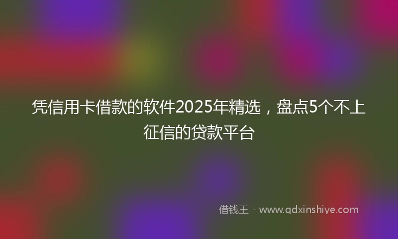凭信用卡借款的软件2025年精选，盘点5个不上征信的贷款平台