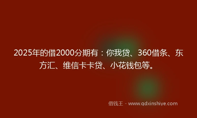2025年的借2000分期有：你我贷、360借条、东方汇、维信卡卡贷、小花钱包等。