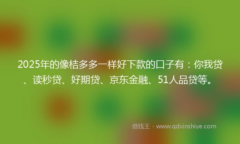2025年的像桔多多一样好下款的口子有：你我贷、读秒贷、好期贷、京东金融、51人品贷等。