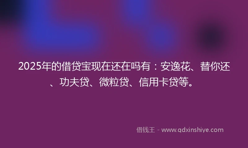 2025年的借贷宝现在还在吗有：安逸花、替你还、功夫贷、微粒贷、信用卡贷等。
