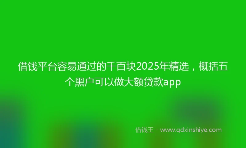 借钱平台容易通过的千百块2025年精选，概括五个黑户可以做大额贷款app
