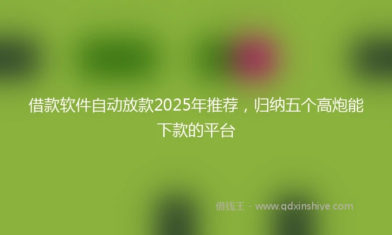借款软件自动放款2025年推荐，归纳五个高炮能下款的平台