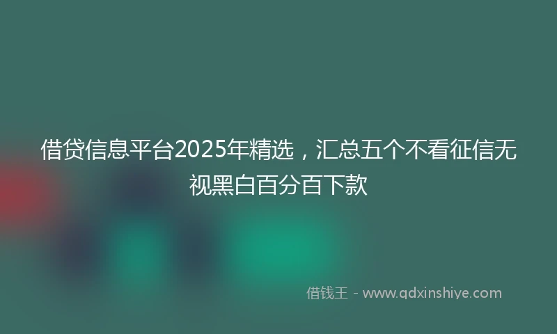 借贷信息平台2025年精选，汇总五个不看征信无视黑白百分百下款