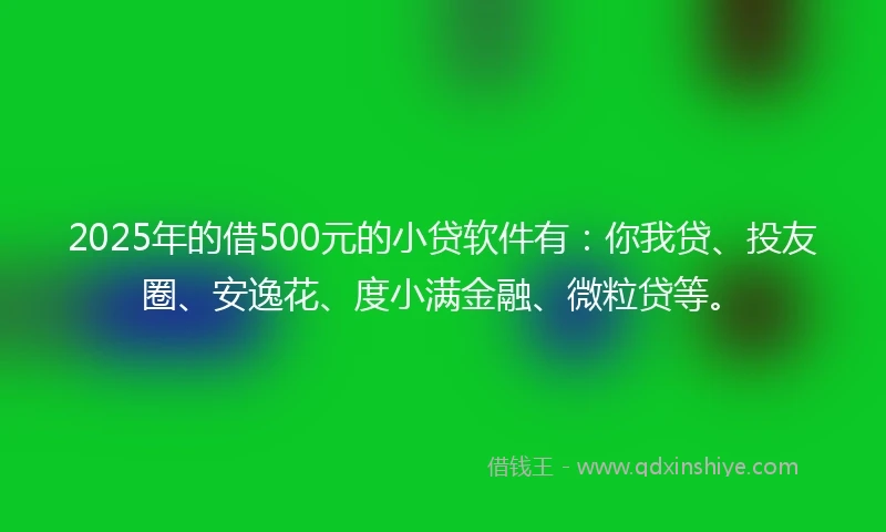 2025年的借500元的小贷软件有：你我贷、投友圈、安逸花、度小满金融、微粒贷等。