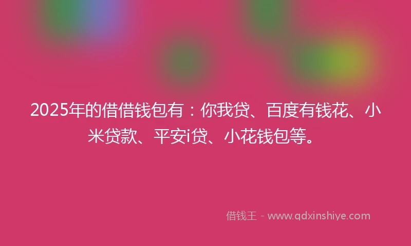 2025年的借借钱包有：你我贷、百度有钱花、小米贷款、平安i贷、小花钱包等。