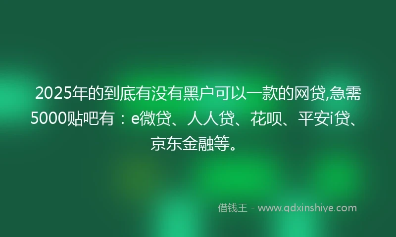 2025年的到底有没有黑户可以一款的网贷,急需5000贴吧有：e微贷、人人贷、花呗、平安i贷、京东金融等。