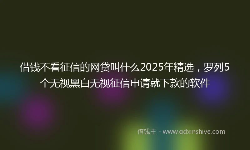 借钱不看征信的网贷叫什么2025年精选，罗列5个无视黑白无视征信申请就下款的软件