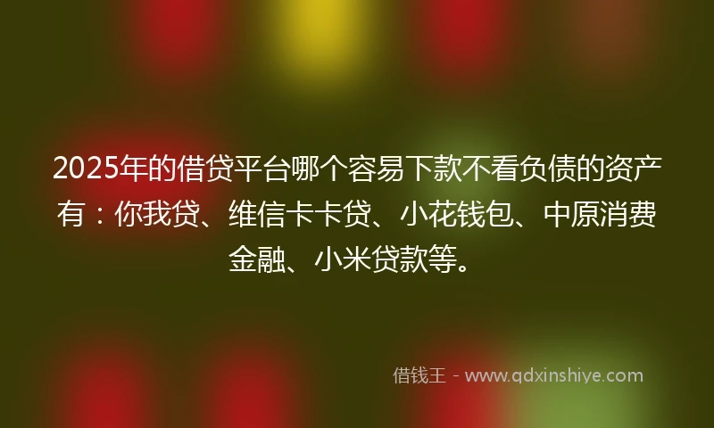 2025年的借贷平台哪个容易下款不看负债的资产有：你我贷、维信卡卡贷、小花钱包、中原消费金融、小米贷款等。