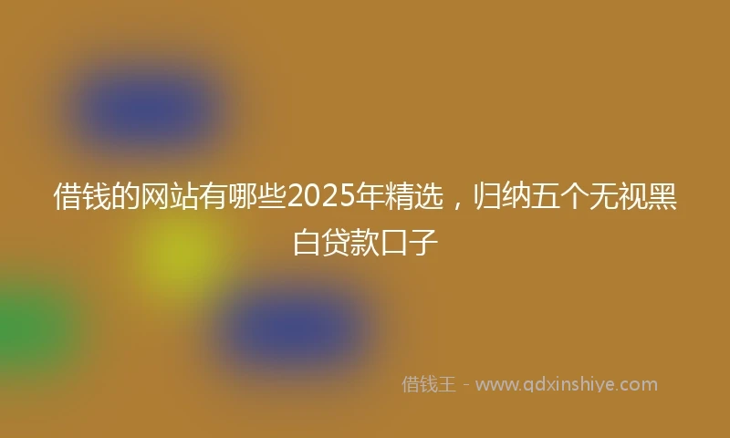 借钱的网站有哪些2025年精选，归纳五个无视黑白贷款口子