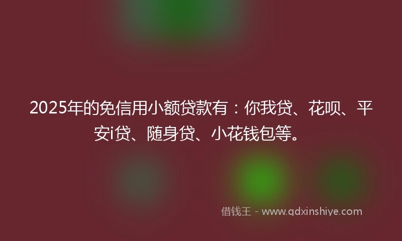 2025年的免信用小额贷款有：你我贷、花呗、平安i贷、随身贷、小花钱包等。