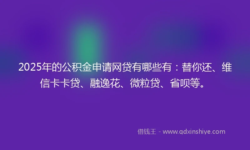 2025年的公积金申请网贷有哪些有：替你还、维信卡卡贷、融逸花、微粒贷、省呗等。
