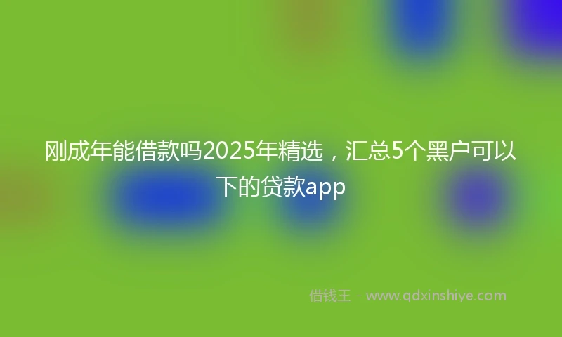 刚成年能借款吗2025年精选，汇总5个黑户可以下的贷款app