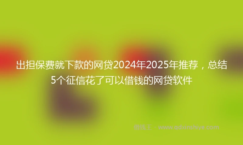 出担保费就下款的网贷2024年2025年推荐，总结5个征信花了可以借钱的网贷软件
