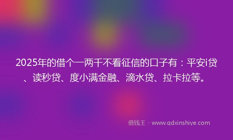 2025年的借个一两千不看征信的口子有：平安i贷、读秒贷、度小满金融、滴水贷、拉卡拉等。
