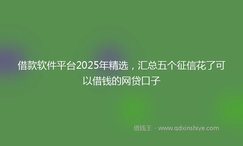 借款软件平台2025年精选，汇总五个征信花了可以借钱的网贷口子