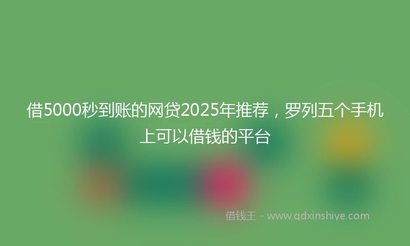 借5000秒到账的网贷2025年推荐，罗列五个手机上可以借钱的平台