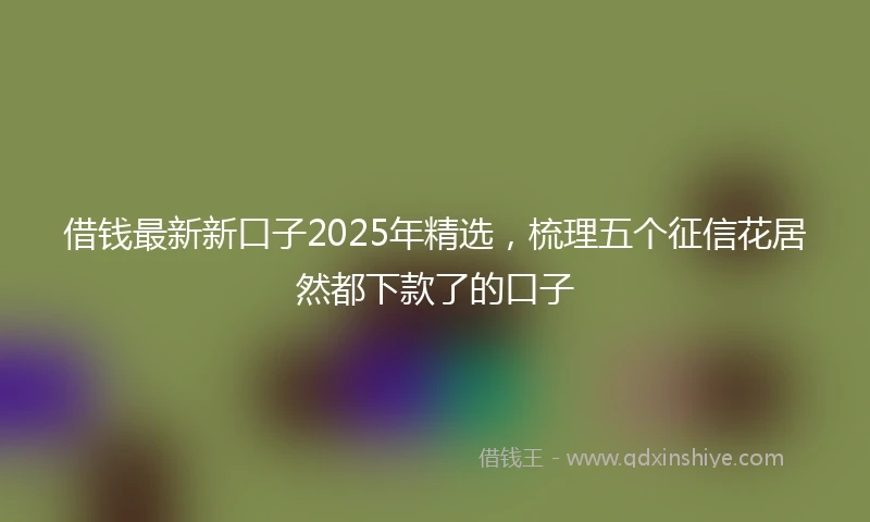 借钱最新新口子2025年精选，梳理五个征信花居然都下款了的口子