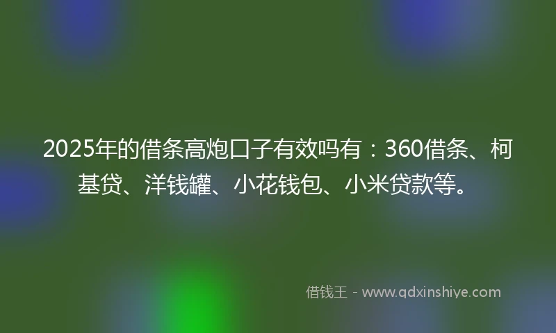 2025年的借条高炮口子有效吗有：360借条、柯基贷、洋钱罐、小花钱包、小米贷款等。
