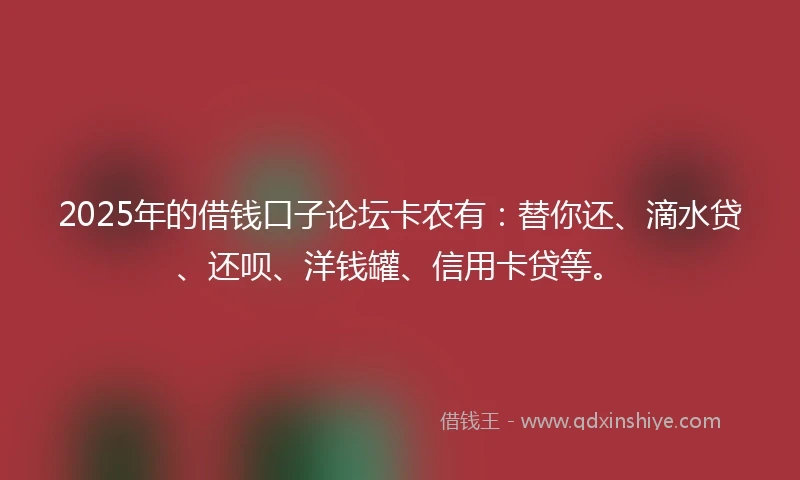 2025年的借钱口子论坛卡农有：替你还、滴水贷、还呗、洋钱罐、信用卡贷等。