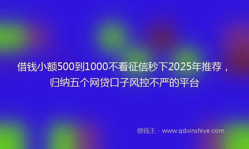 借钱小额500到1000不看征信秒下2025年推荐，归纳五个网贷口子风控不严的平台