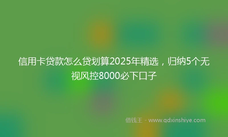 信用卡贷款怎么贷划算2025年精选，归纳5个无视风控8000必下口子
