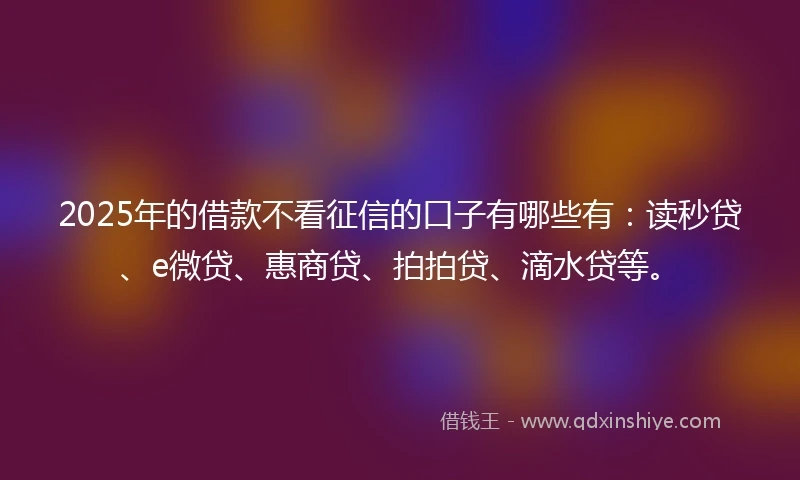 2025年的借款不看征信的口子有哪些有:读秒贷、e微贷、惠商贷、拍拍贷、滴水贷等。